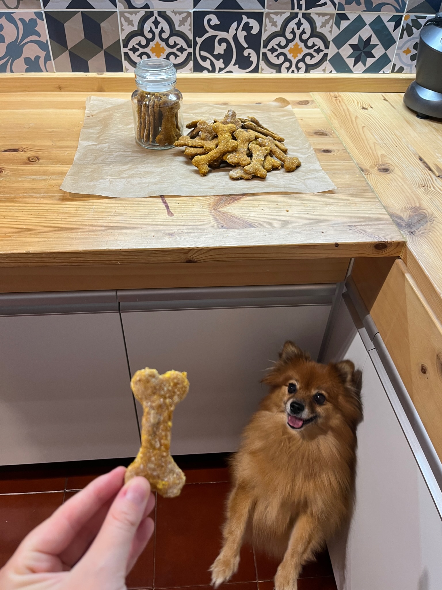 Pumpkin turmeric oat dog treats