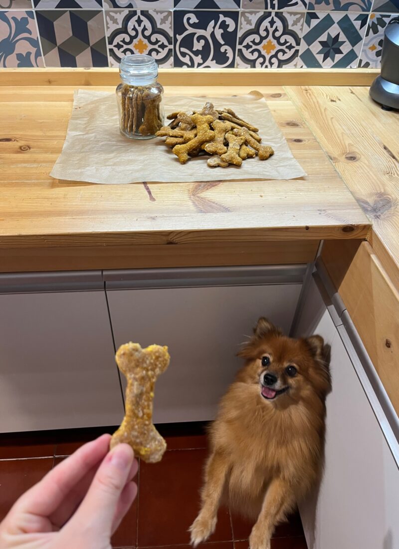 Pumpkin-turmeric oat dog treats