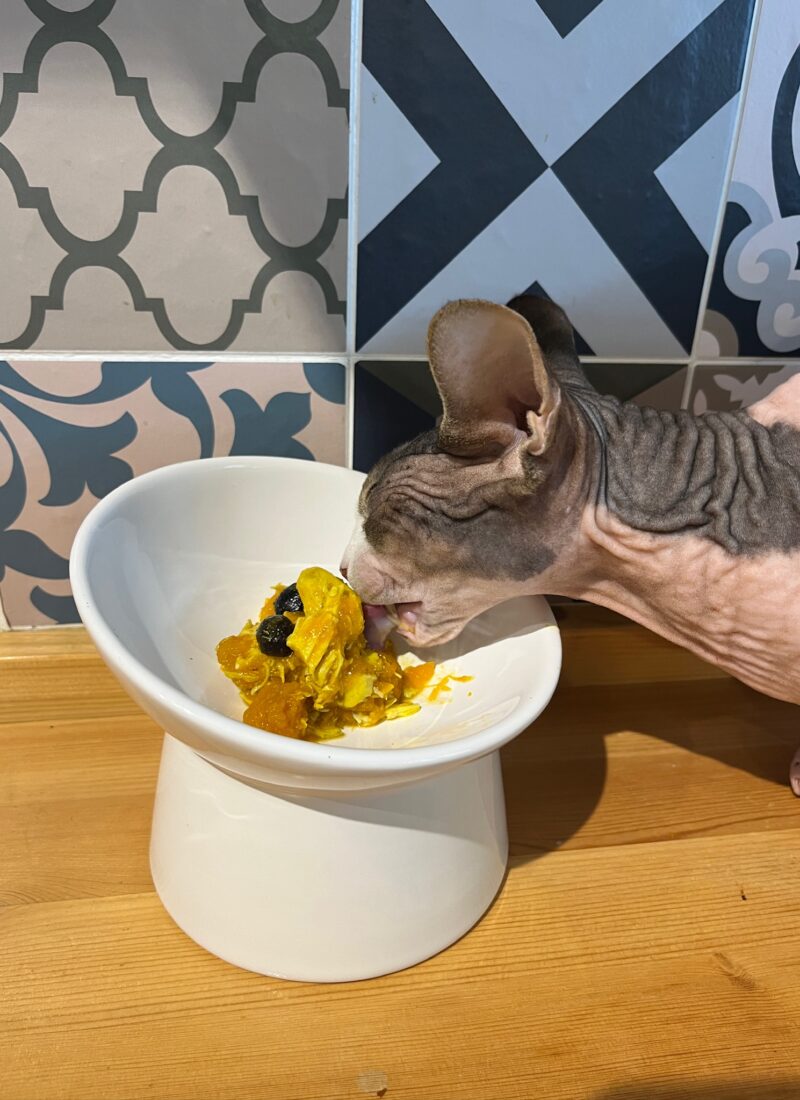 Homemade Pumpkin-Turmeric-Chicken-Blueberry Supplementary Cat and Dog Wet Food